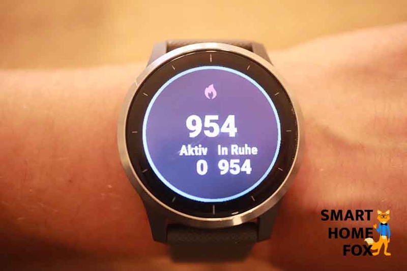 Спортивные часы Garmin vivoactive 4.